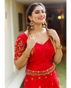 ஷிவானி நாராயணன் shivani narayanan hot shivani narayanan instagram
