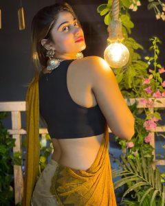 ஷிவானி நாராயணன் shivani narayanan hot shivani narayanan instagram